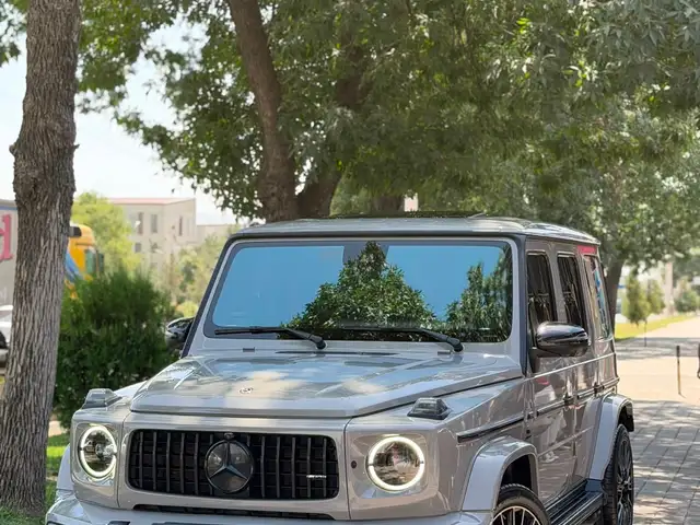 Mercedes-Benz G class