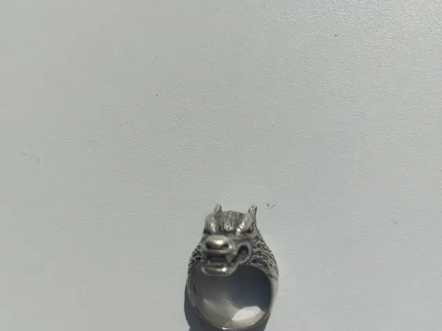 Кольцо, Душанбе