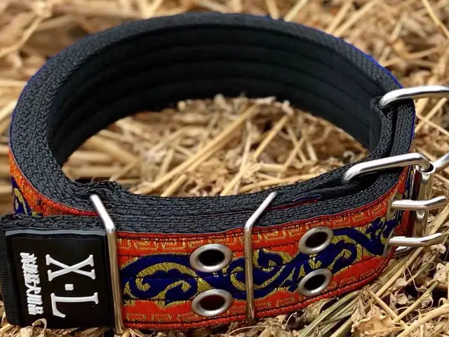 Ошейник на заказ, Душанбе