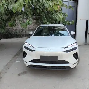 BYD Sea Lion 06