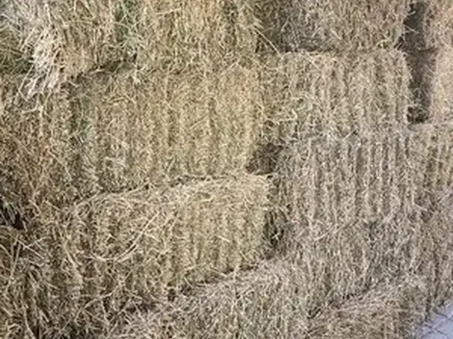 Преси чавари, Хуҷанд