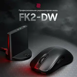 Мышка Zowie FK2-DW, Душанбе