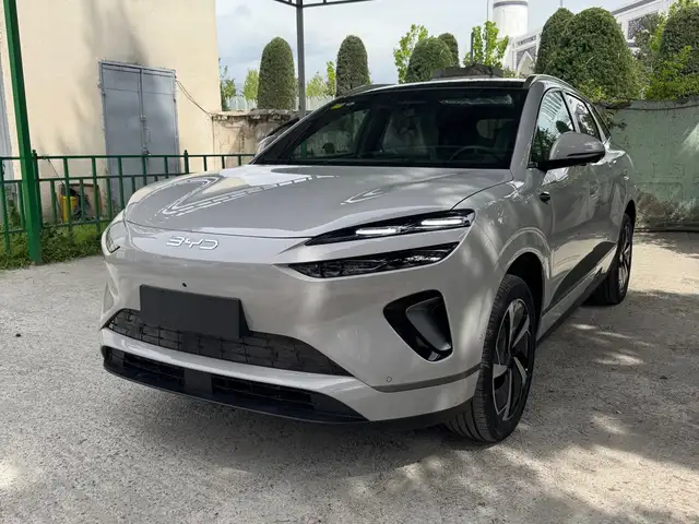 BYD Sea Lion 06