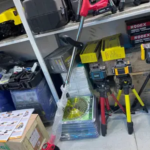 Электрогазонокосилка Rodex, Душанбе