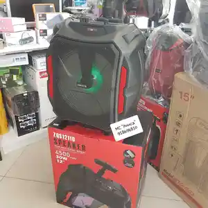 Колонка ZQS12110, Душанбе