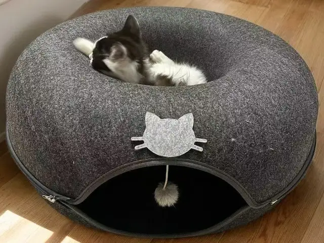 Игрушка для кошек, Душанбе