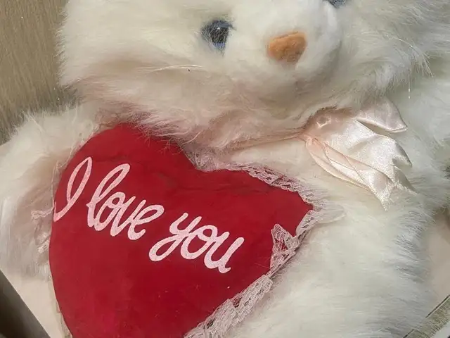 Мягкая игрушка Кошка, Душанбе