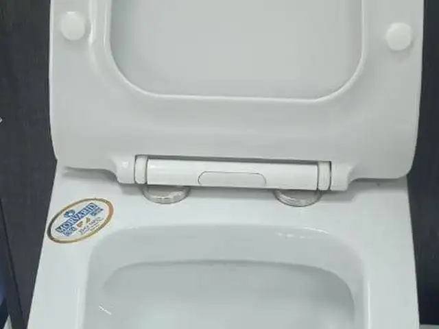 Унитаз Sanitary Coco, Душанбе