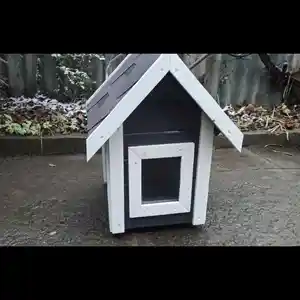 Будка для собак, Душанбе
