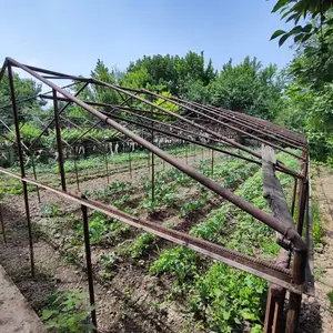 Парник, Душанбе