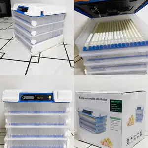 Инкубатори автоматӣ 400 дона, Душанбе