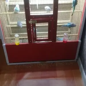 Клтка барои попугай, Турсунзаде