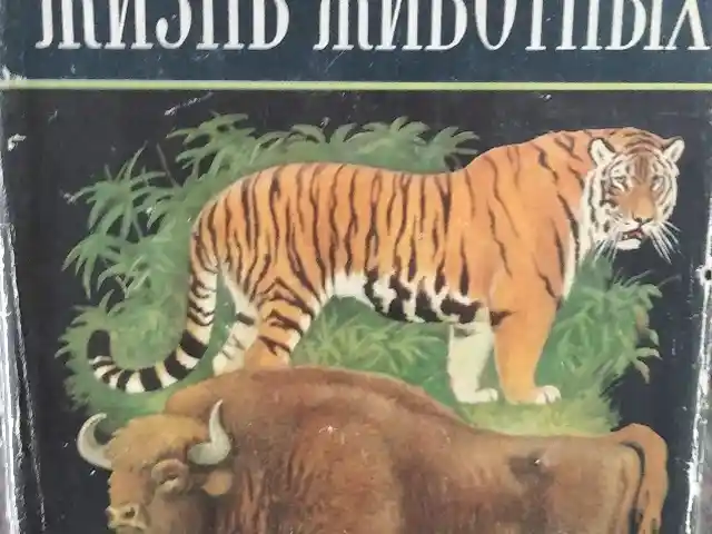 Книга Жизнь животных, Душанбе