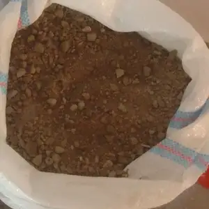 Қум зубок, Душанбе