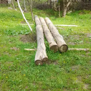 Доска, Файзабад