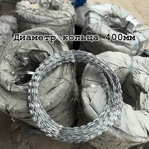 Симхори лезва Егоза, Душанбе