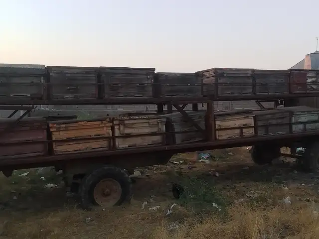 Ящики для пчеловодства, Истаравшан