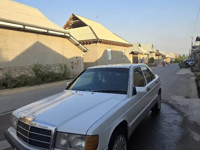 Mercedes-Benz W201