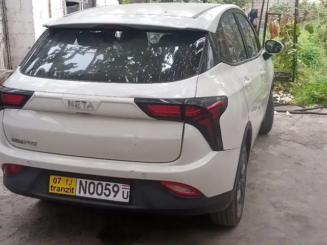 Neta V