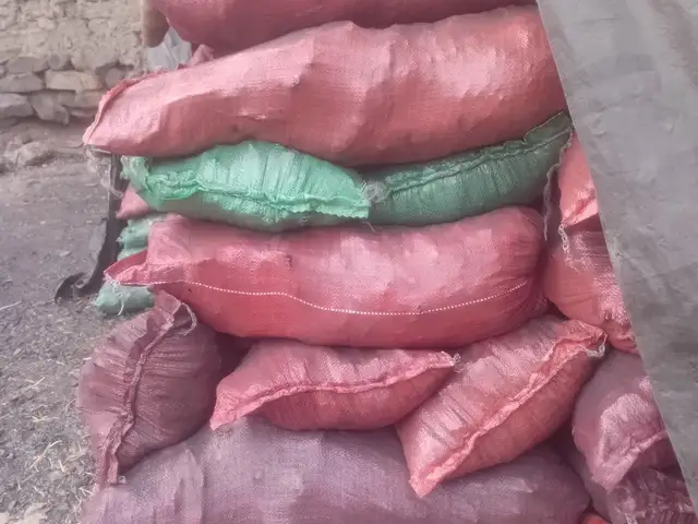 Кумури Айни, Душанбе