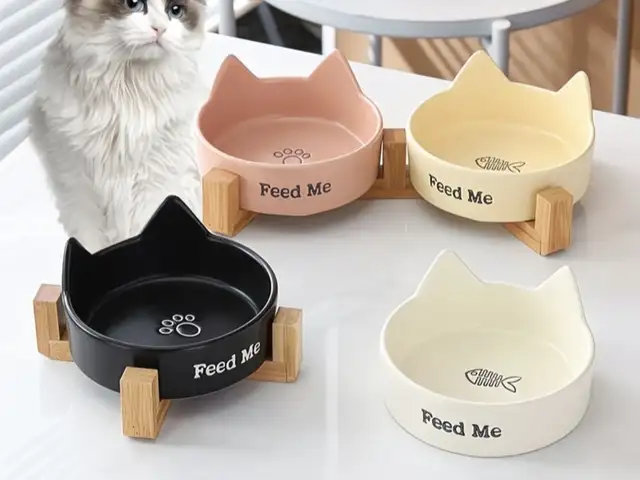 Миски для кошек, Хуҷанд