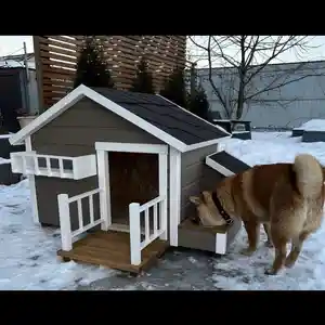 Будка для собак, Душанбе