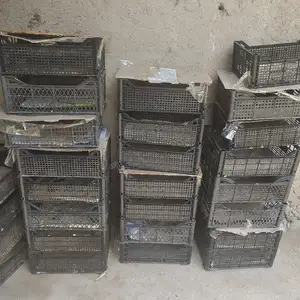 Ящики, Панҷакент