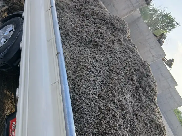 Кум, Душанбе