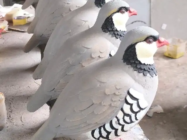 Кабк Куропатка, Душанбе