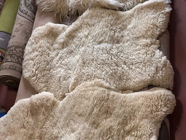 Овечья шкура с шерстью, Худжанд