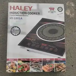 Плита Haley, Душанбе