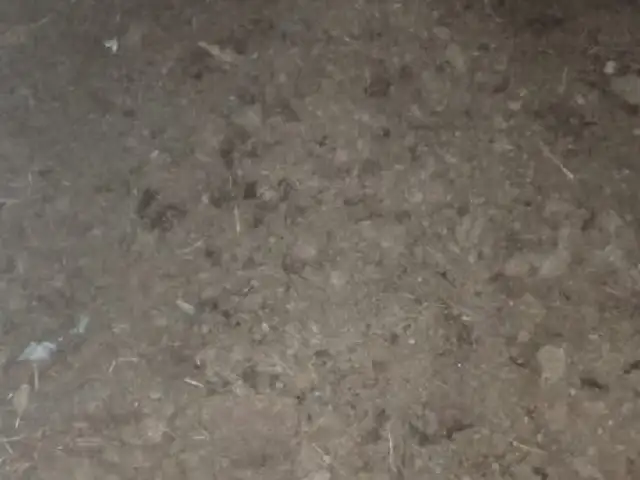 Пору, Турсунзаде