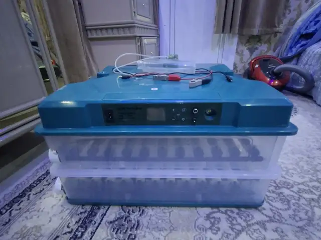 Инкубатор, Душанбе