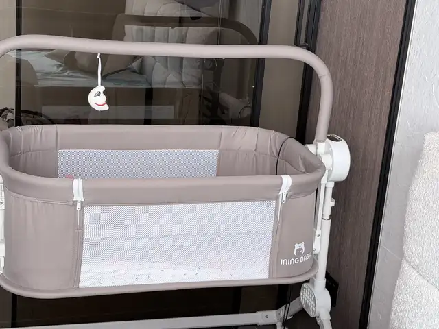 Колыбель электронный, Душанбе
