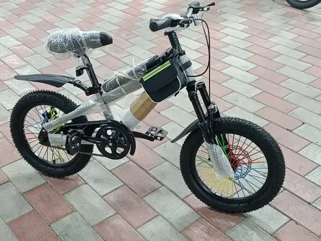 Велосипед, Душанбе