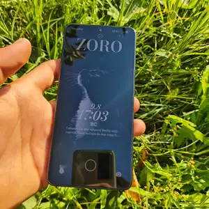 Xiaomi Poco X7 Pro, Гиссар