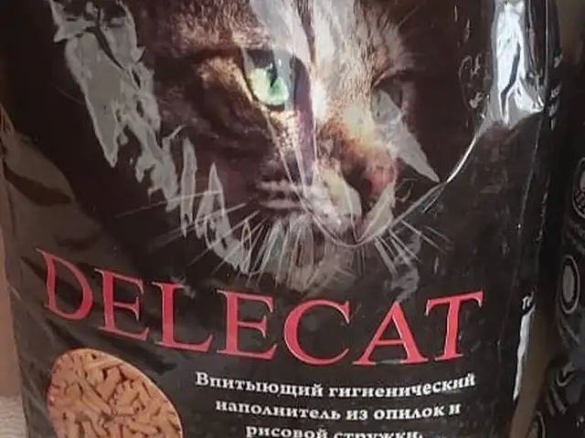 Наполнитель для кошек, Худжанд