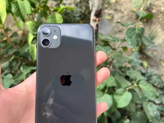 Apple iPhone 11, 64 gb, Black, Исфара