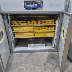Инкубатор 528, Худжанд