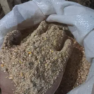 Дон барои бедона, Душанбе