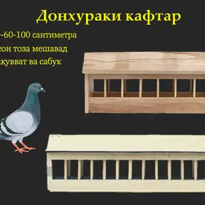 Кормушка, Душанбе