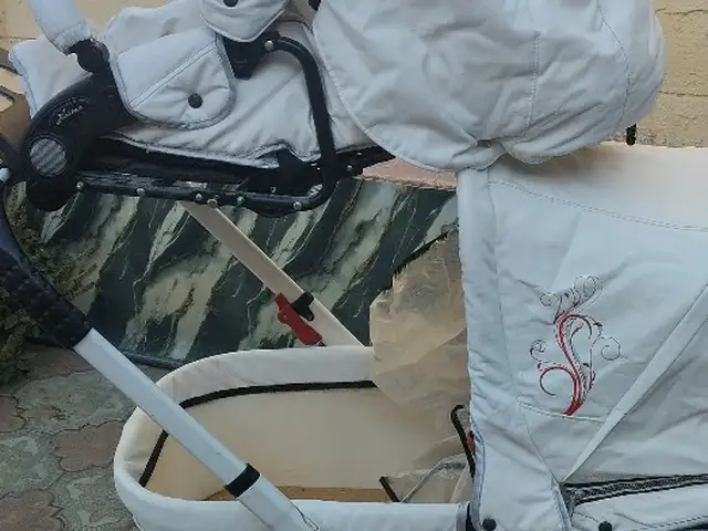 Коляска, Худжанд