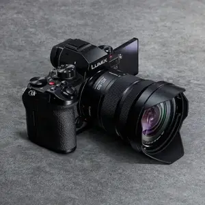 Фотоаппарат Panasonic G80, Яван