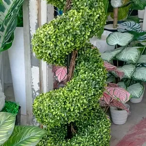 Дерево из самшита, Душанбе