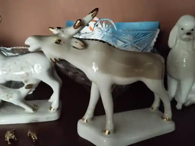 Фарфоровый Лось, Душанбе