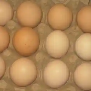 Тухми дакан, Душанбе