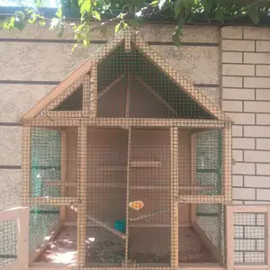 Кафас, Душанбе