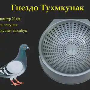 Лона барои кафтар / Гнездо для голубей, Душанбе