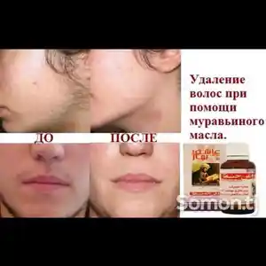 Муравейное масло Oshiki Bahor, Душанбе