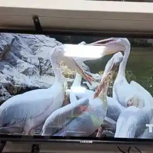 Телевизор Samsung 32 Hd, Хуҷанд